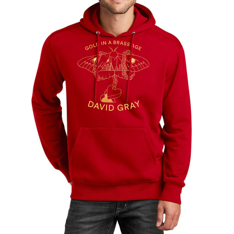 New David Gray In A Tour 2019 Unisex Hoodie by deurinnipahy | Artistshot