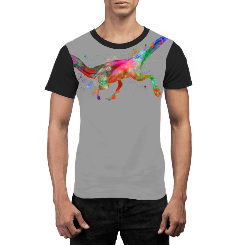 Compsognathus In Watercolor Boy Graphic T-shirt | Artistshot