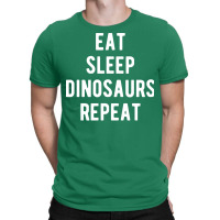 Eat Sleep Dinosaurs Repeat Summer T-shirt | Artistshot