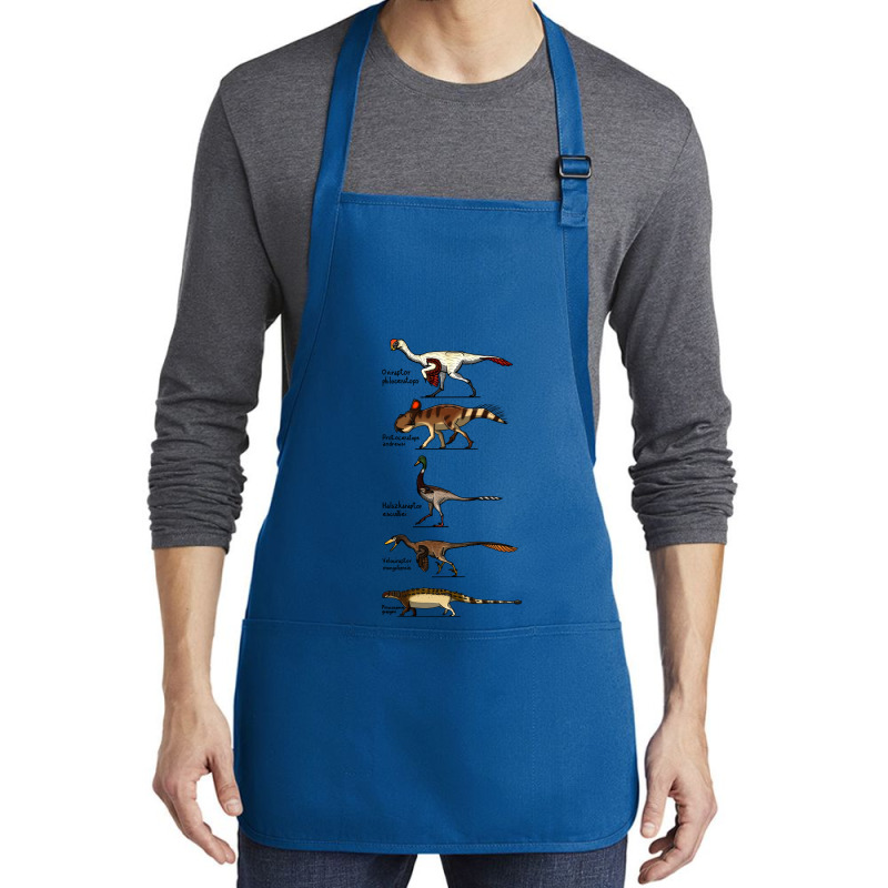 Djadochta Formation Hipster Medium-length Apron | Artistshot