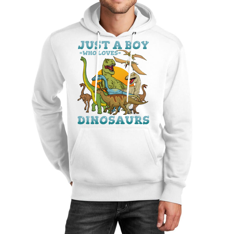 Dinosaurs Dinosaur Lover Paleontologist Quote Unisex Hoodie | Artistshot