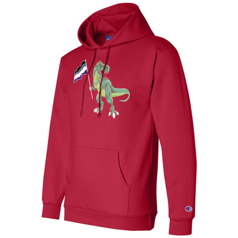 Funny Dinosaur Flag Asexual Pride Lgbt Gift Girl Champion Hoodie | Artistshot