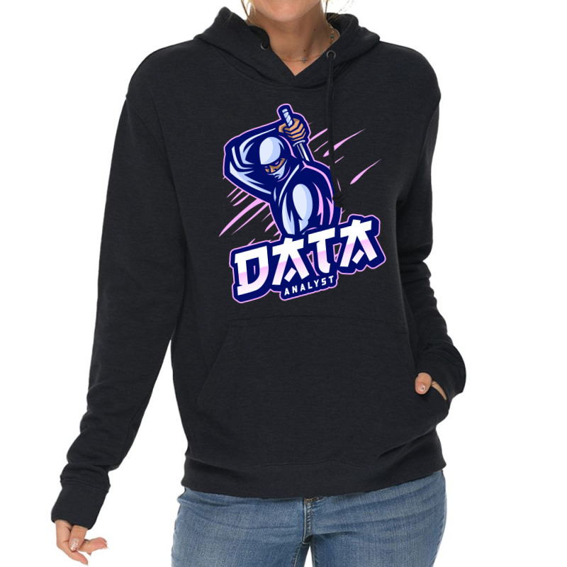 Data Analyst Expert Funny Lightweight Hoodie | Artistshot