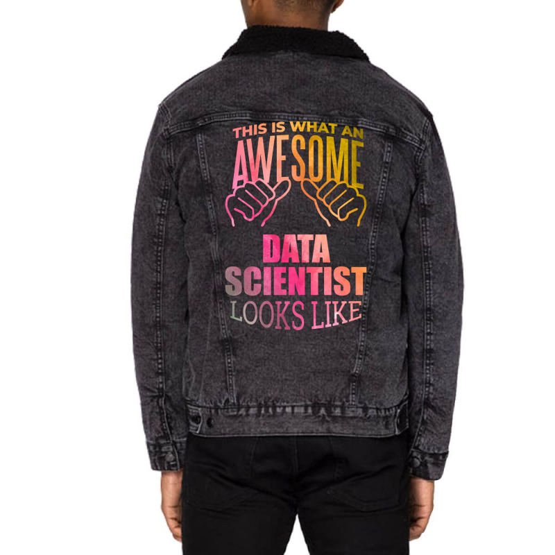 Data Scientist Aesthetic Travel Unisex Sherpa-lined Denim Jacket | Artistshot