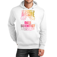 Data Scientist Aesthetic Travel Unisex Hoodie | Artistshot