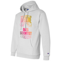 Data Scientist Aesthetic Travel Champion Hoodie | Artistshot