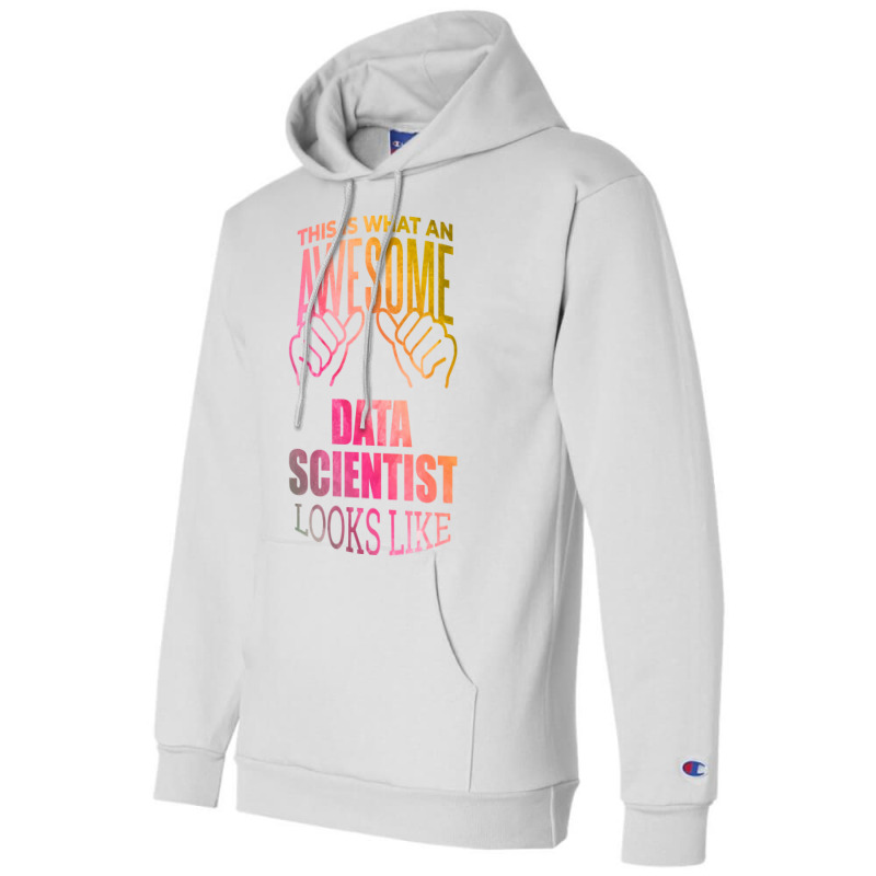 Data Scientist Aesthetic Travel Champion Hoodie | Artistshot