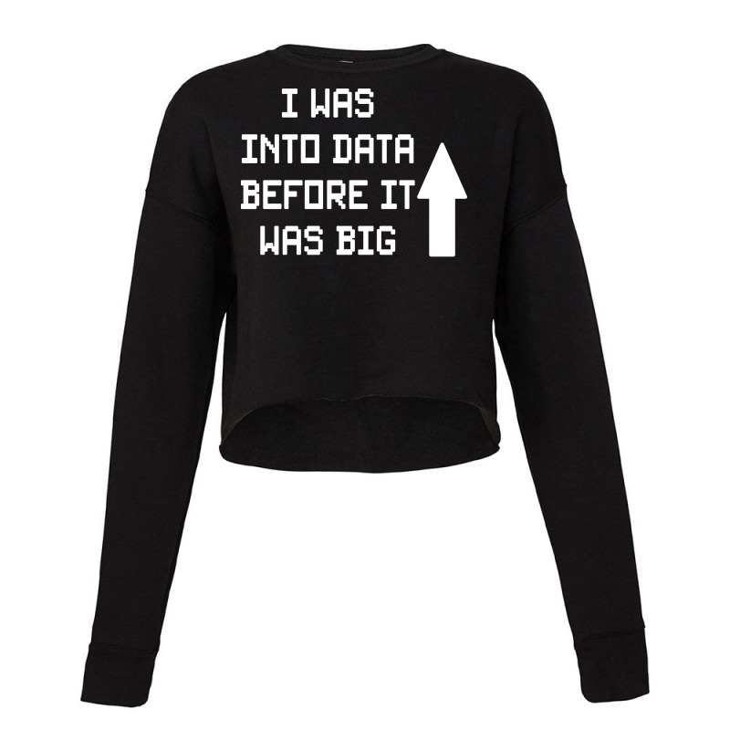 I Was Into Data Before It Was Big Cute Cropped Sweater by aploonennial | Artistshot