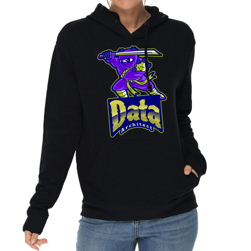 Ready Steady Data Architect Cool Lightweight Hoodie | Artistshot