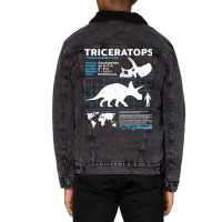 Triceratops Fact Sheet Green Unisex Sherpa-lined Denim Jacket | Artistshot