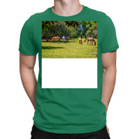 Wild Horses At Cumberland Island National Seashore T-shirt | Artistshot