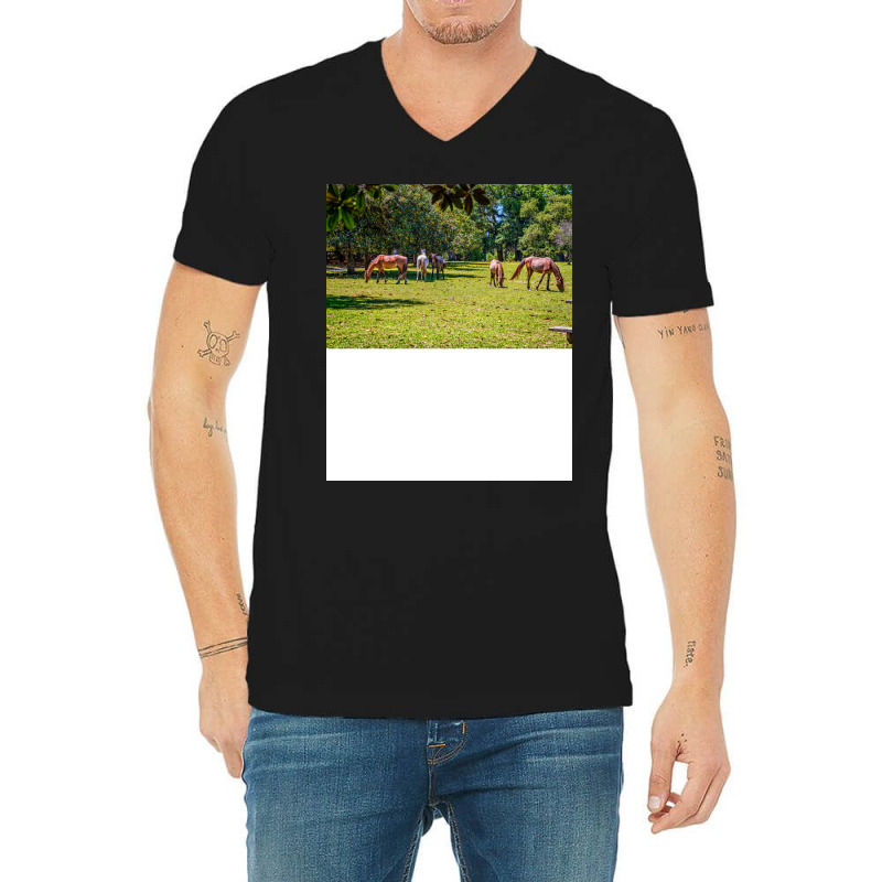 Wild Horses At Cumberland Island National Seashore V-Neck Tee by seakolaasseh | Artistshot