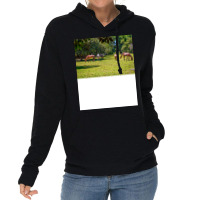 Wild Horses At Cumberland Island National Seashore Lightweight Hoodie | Artistshot