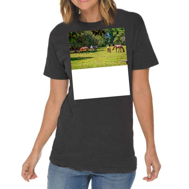 Wild Horses At Cumberland Island National Seashore Vintage T-Shirt by seakolaasseh | Artistshot