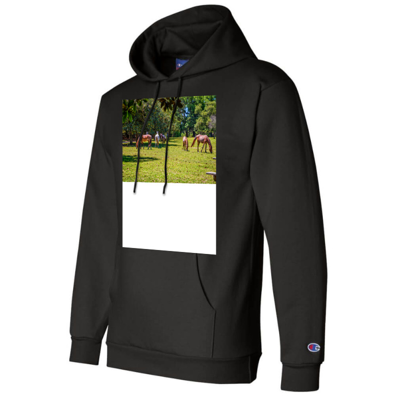 Wild Horses At Cumberland Island National Seashore Champion Hoodie by seakolaasseh | Artistshot