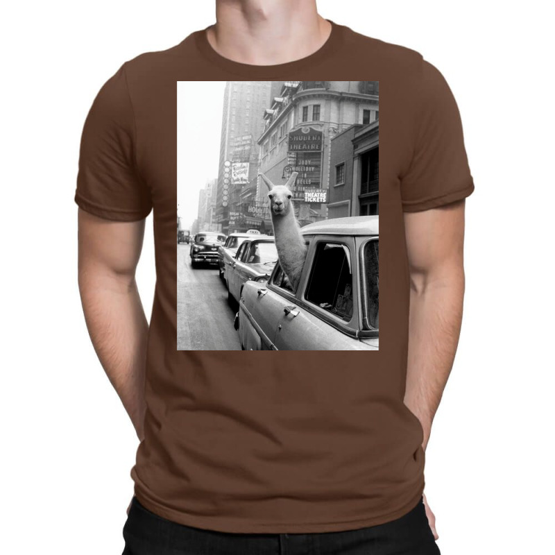 Lama   Nyc T-Shirt by viickybubolzw | Artistshot