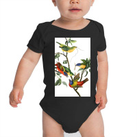 John James Audubon   Painted Bunting Baby Bodysuit | Artistshot