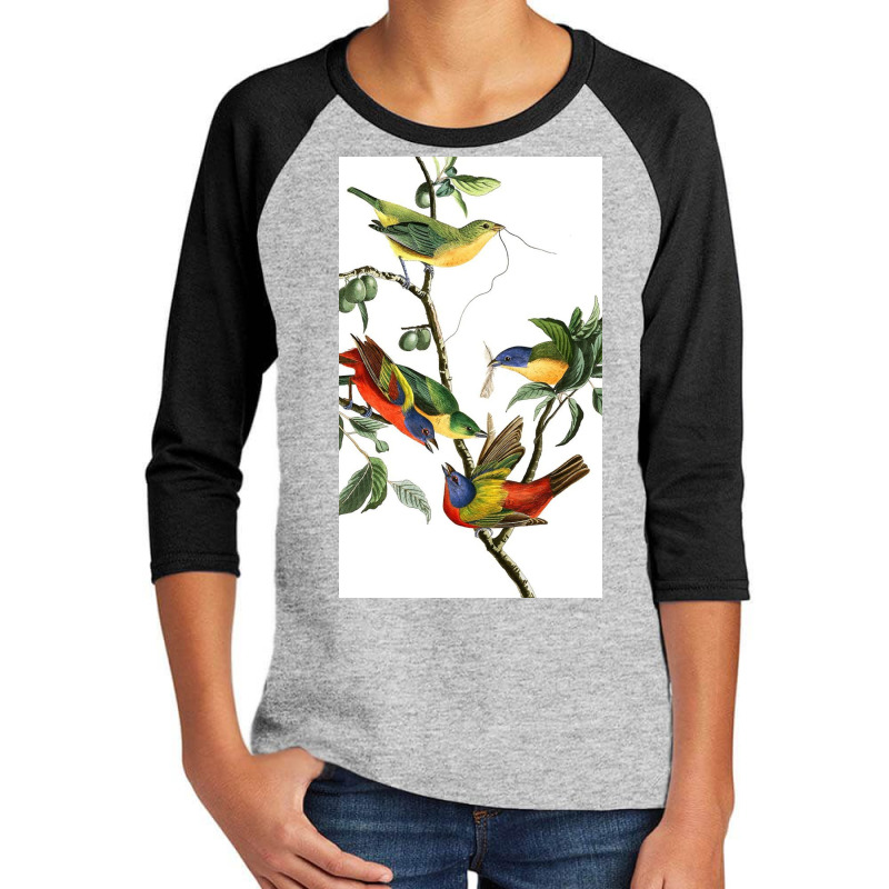 John James Audubon   Painted Bunting Youth 3/4 Sleeve by Odayas | Artistshot