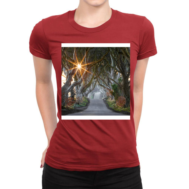 The Dark Hedges  County Antrim  Northern Ireland Ladies Fitted T-Shirt by pectolboevex | Artistshot