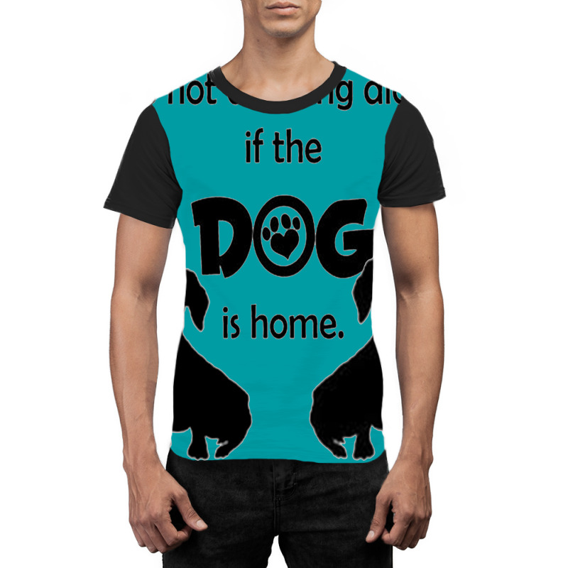 I's Not Drinking Alone If Dog Is Home. Graphic T-shirt | Artistshot