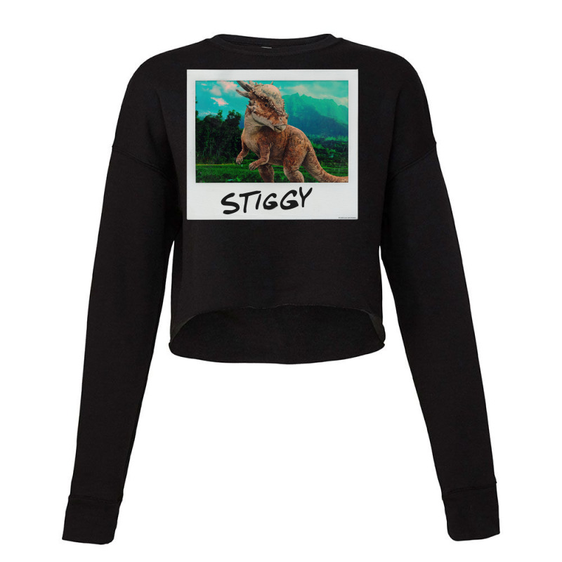 Stiggy Instant Photo Cropped Sweater by kaullkilemkekjc | Artistshot