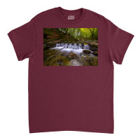 Tollymore Forest Park  County Down  Northern Irela Classic T-shirt | Artistshot