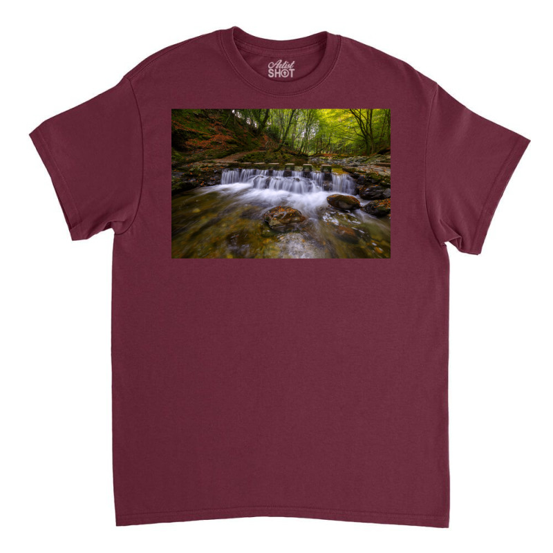 Tollymore Forest Park  County Down  Northern Irela Classic T-shirt by oliwermabopep | Artistshot