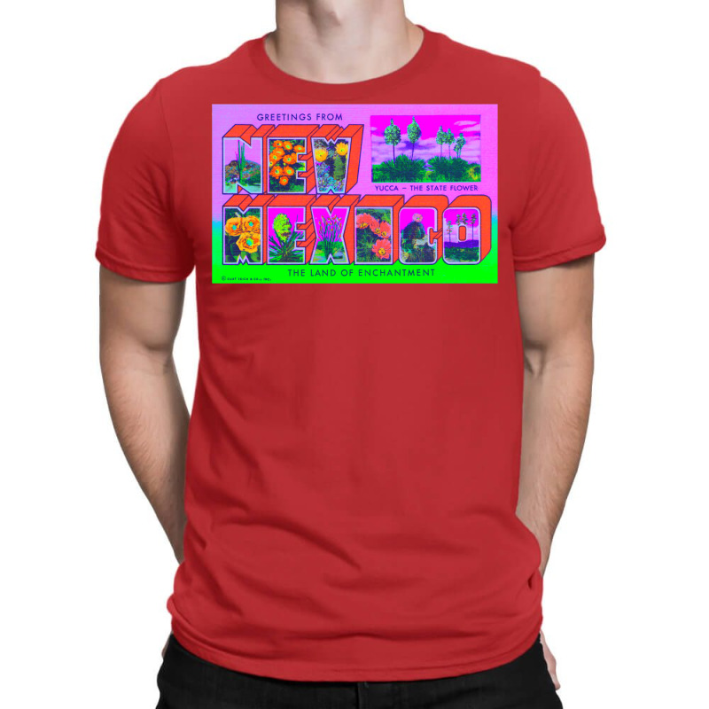 New Mexico 1 T-shirt | Artistshot