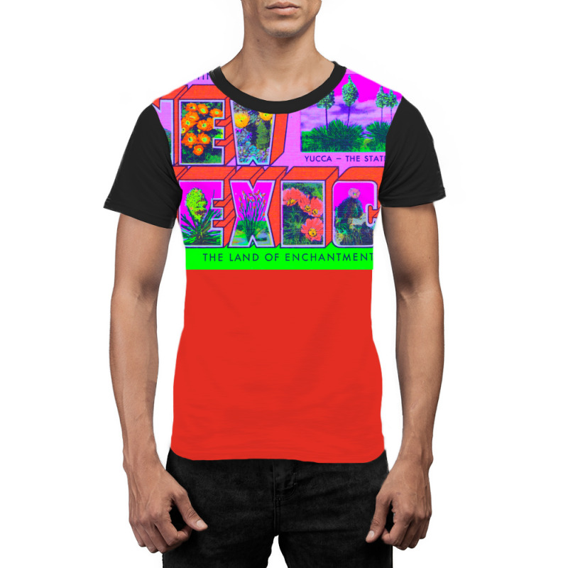 New Mexico 1 Graphic T-shirt | Artistshot