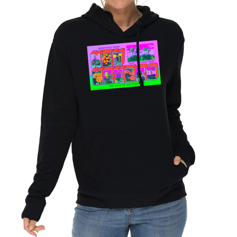 New Mexico 1 Lightweight Hoodie | Artistshot