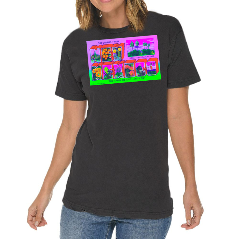 New Mexico 1 Vintage T-shirt | Artistshot