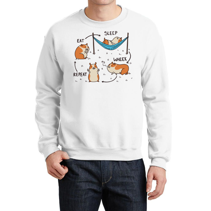 Guinea Pig Cycle Aesthetic Crewneck Sweatshirt | Artistshot