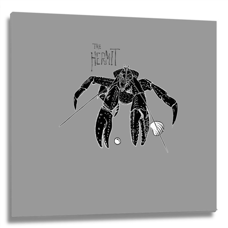 Hermit Crab Tumblr Metal Print Square | Artistshot