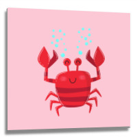 Smiling Crab Vintage Metal Print Square | Artistshot