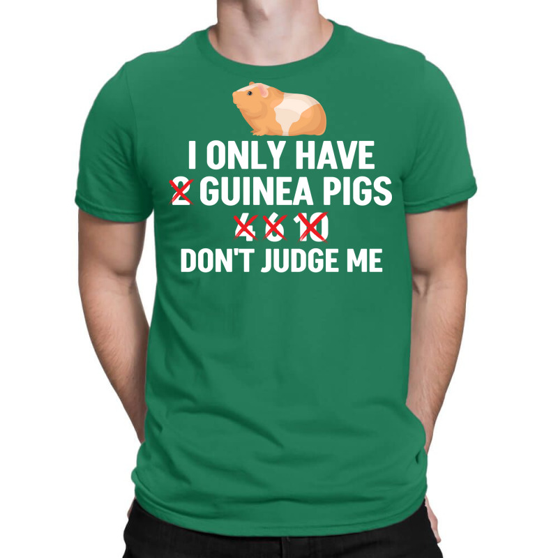 Funny Guinea Pig Owner Girl Music T-shirt | Artistshot