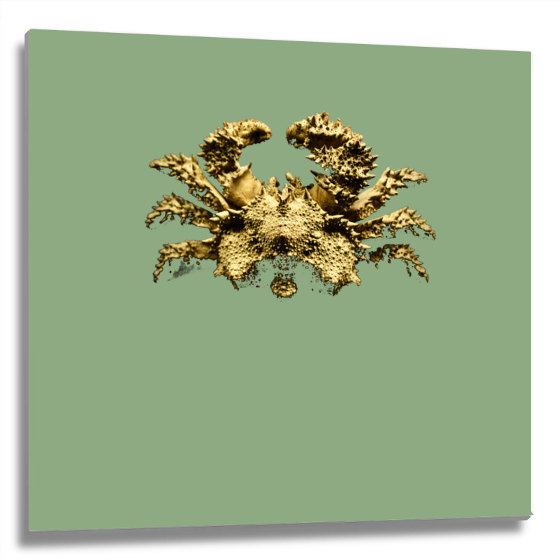 Crab Nature Metal Print Square | Artistshot