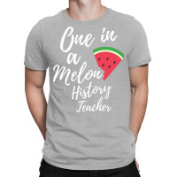 Appreciation Gift For History Teacher One In A Mel T-shirt | Artistshot