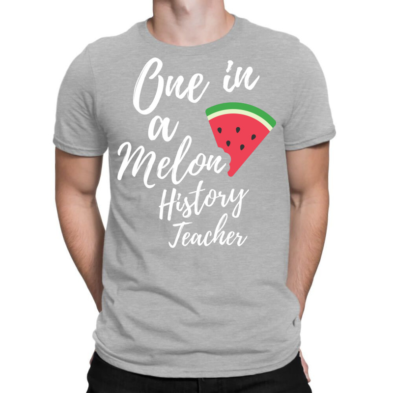 Appreciation Gift For History Teacher One In A Mel T-shirt | Artistshot