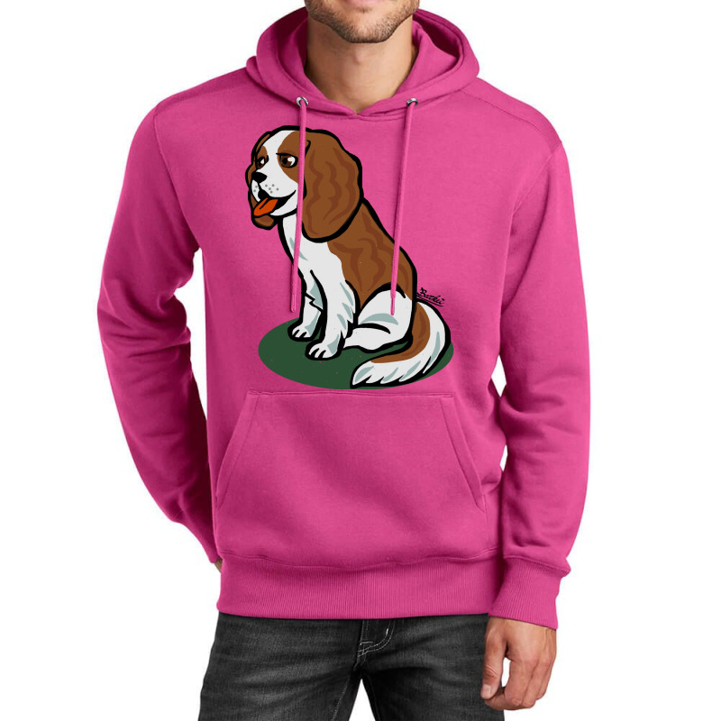 Cute Cavalier Stars Unisex Hoodie by zelekmanfraw | Artistshot