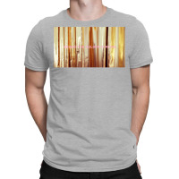 Behind The Curtain T-shirt | Artistshot