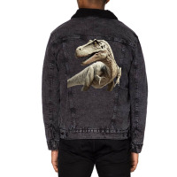 Dinosaurus Magurts Unisex Sherpa-lined Denim Jacket | Artistshot