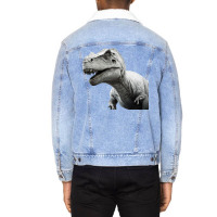 Dinosaurus Master Unisex Sherpa-lined Denim Jacket | Artistshot