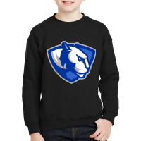 Eastern Illinois Panthers Youth Sweatshirt | Artistshot