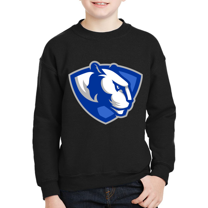 Eastern Illinois Panthers Youth Sweatshirt by votreshop | Artistshot