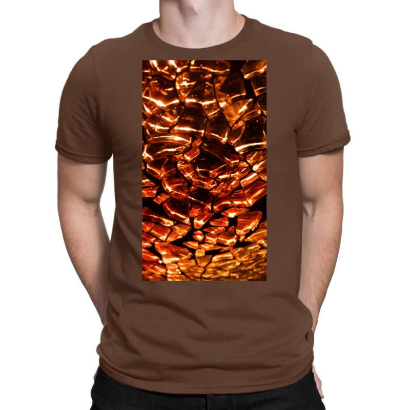 Dragon Scales T-shirt | Artistshot