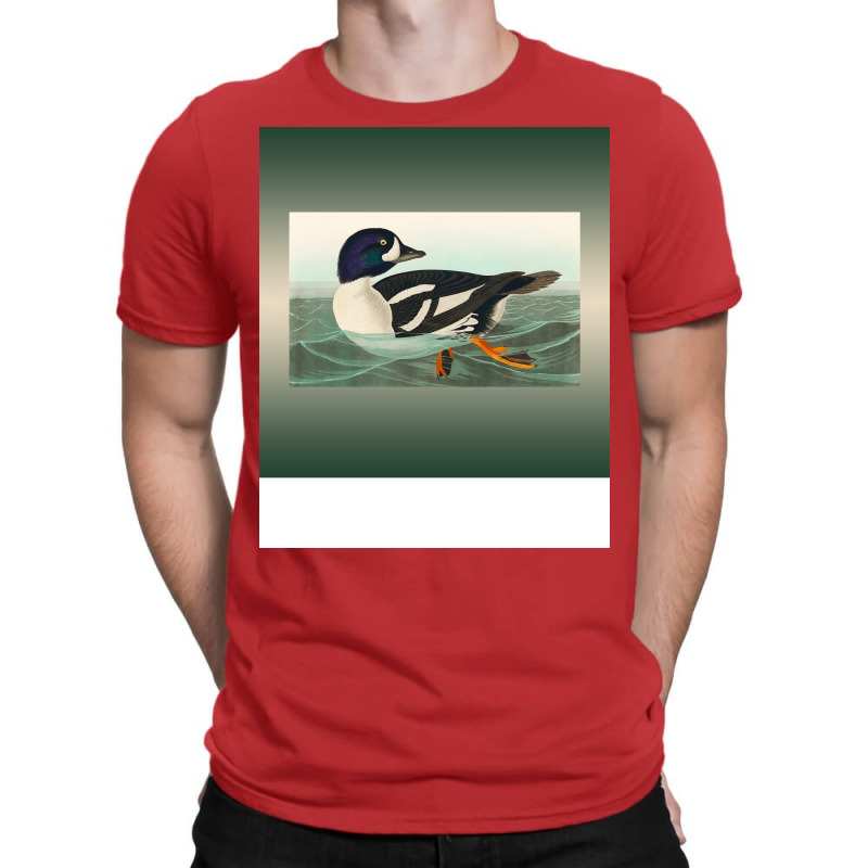 Common Goldeneye Duck Birder Antique Look Birding T-shirt | Artistshot