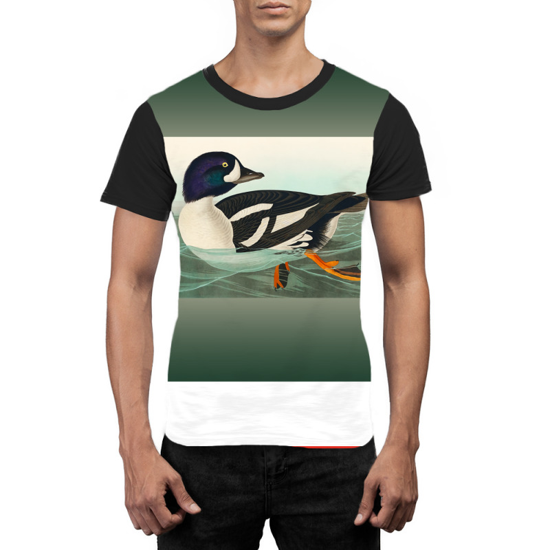 Common Goldeneye Duck Birder Antique Look Birding Graphic T-shirt | Artistshot