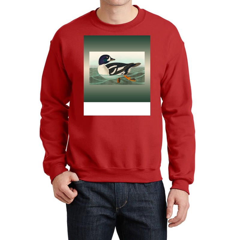 Common Goldeneye Duck Birder Antique Look Birding Crewneck Sweatshirt | Artistshot