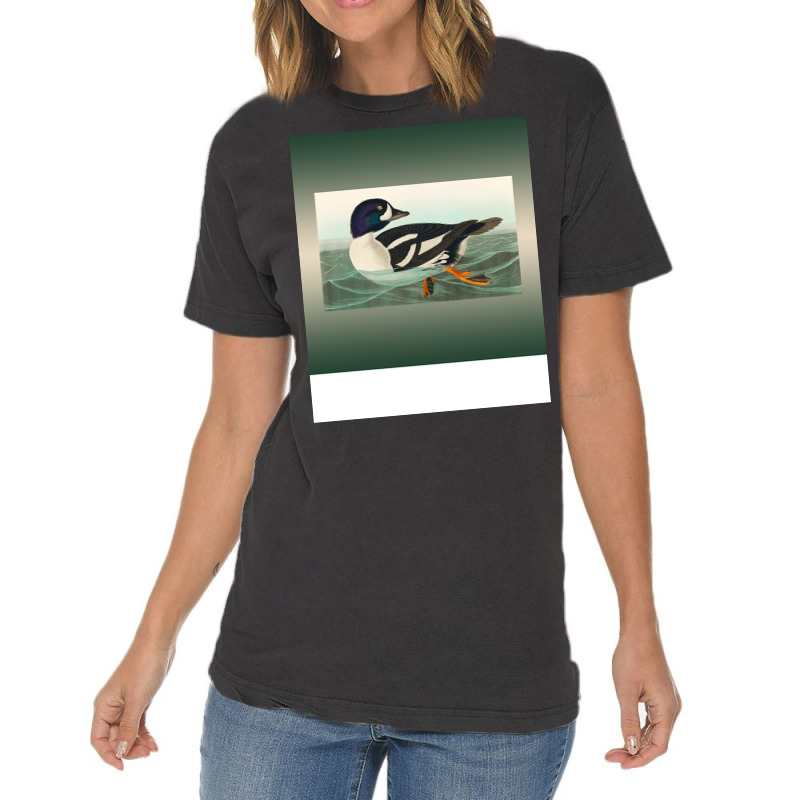 Common Goldeneye Duck Birder Antique Look Birding Vintage T-shirt | Artistshot