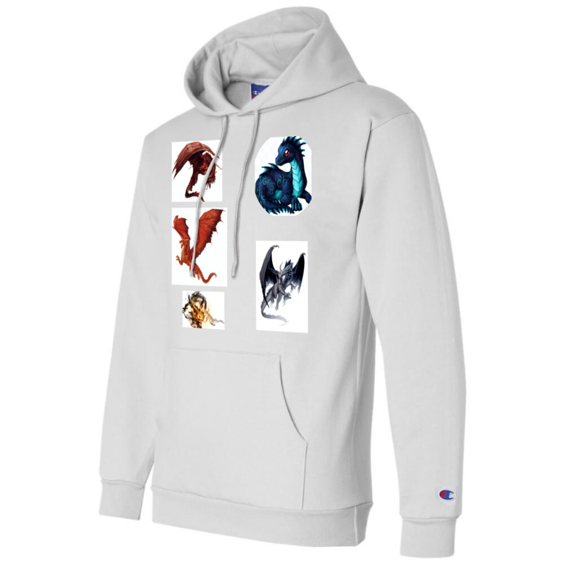 Dragon Sticker Champion Hoodie | Artistshot